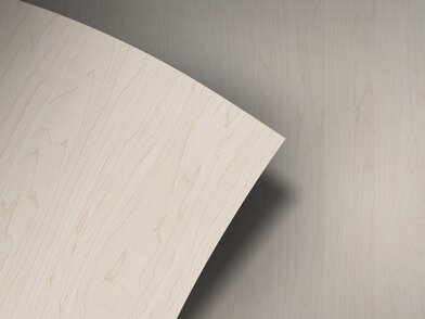 BQ_PC_W199-01-Optik