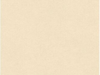 BQ_PC_TNS05-01-Optik