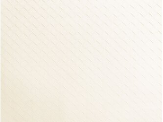 BQ_PC_TNS10-01-Optik