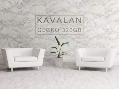 KA_PC_Gecko_320GB