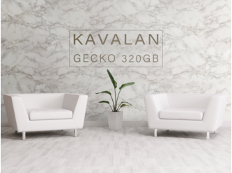KA_PC_Gecko_320GB