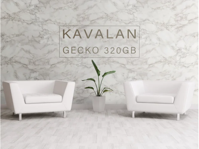 KA_PC_Gecko_320GB