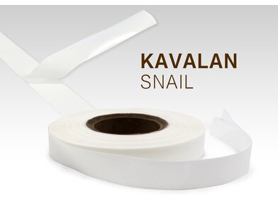 KA_PC_Snail_2