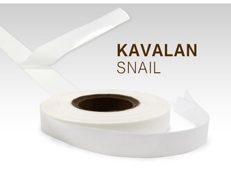 KA_PC_Snail_2