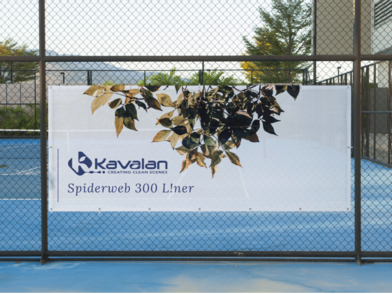 KA_PC_Spiderweb_300_L!ner