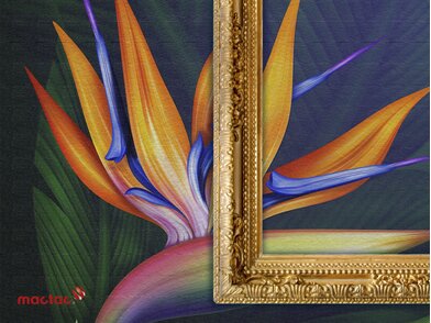 MT_PC_DecoSerie_Canvas_INDOOR-_DECORATION_WALL__Key-Visuals---Mactac_01