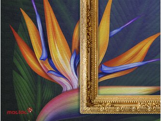 MT_PC_DecoSerie_Canvas_INDOOR-_DECORATION_WALL__Key-Visuals---Mactac_01