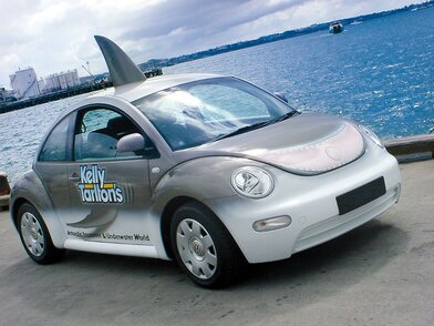 MT_PC_9800Pro_VEHICLE_WRAPPING_JT-5529-P_MACal-9800-Pro-_Shark_-car-_Rocket-Signtists_-New-Zealand_001