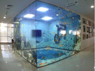 MT_PC_JT8500CGR_Dubai_e-walls_aquarium_meeting_1