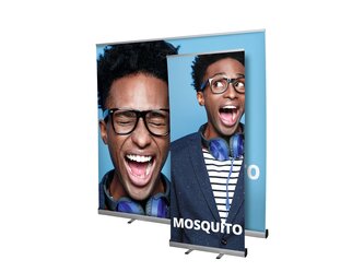 MY_PC_RU_Mosquito_Small-and-large_DSH2018