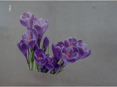 MY_PC_MY1709_Flowers2