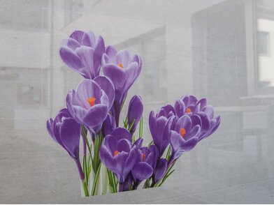 MY_PC_MY1709_Flowers4