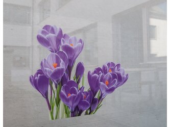 MY_PC_MY1709_Flowers4
