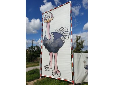 MY_PC_MY3620_Ostrich_Outdoor