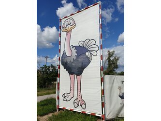 MY_PC_MY3620_Ostrich_Outdoor