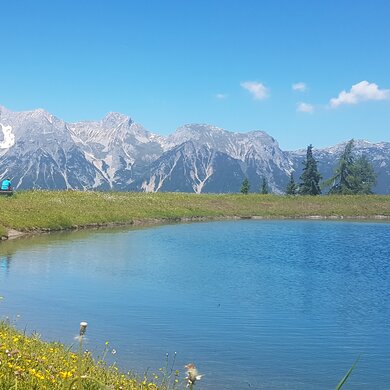 Bild vom einem Bergsee mit Gebirge im Hintergrund und Alpenblumen im Vordergrund | © EP