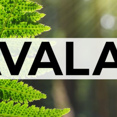 Kavalan_Header