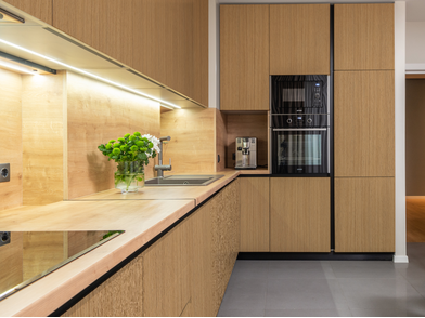 BQ_PC_ZX145_Kitchen